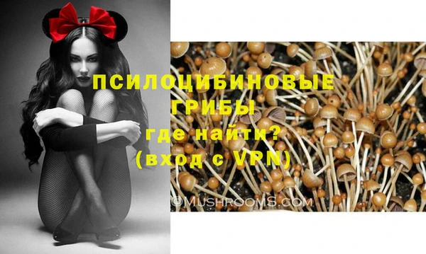 дживик Баксан