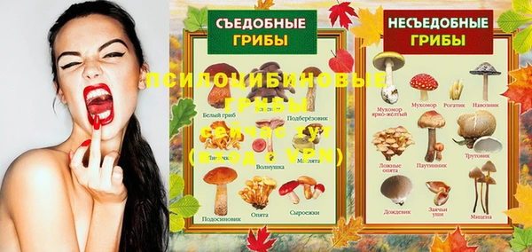 apvp Балахна