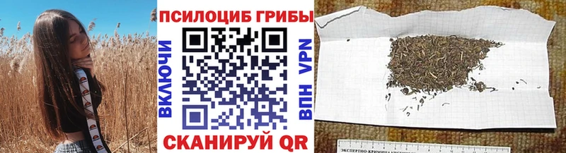 Галлюциногенные грибы GOLDEN TEACHER  площадка формула  Власиха 